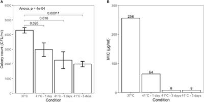 Effect of Temperature on Metronidazole Resistance in Helicobacter pylori